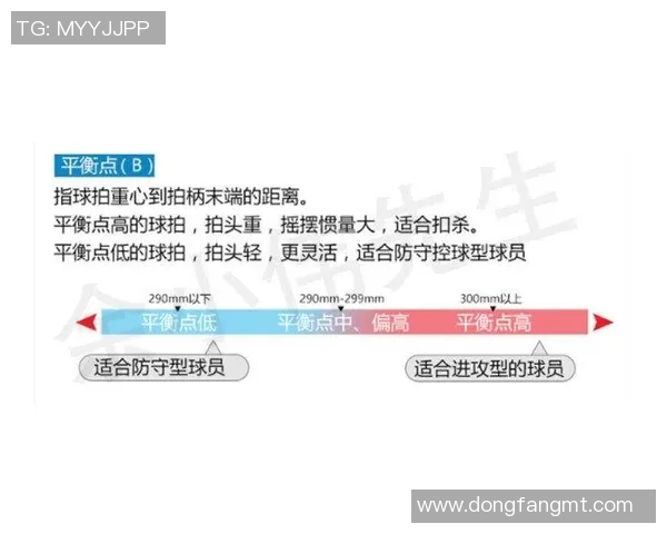 深入分析南京羽毛球队区域防守战术的特点与应用策略
