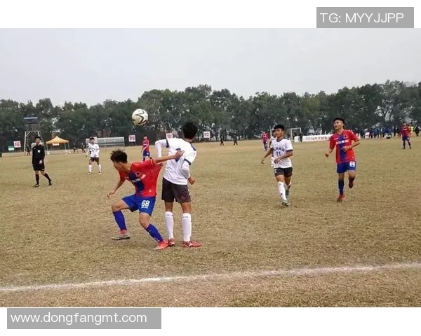 深圳乒乓球队的边路渗透战术解析与深度剖析